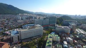 2020년 전경 사진1 관련사진